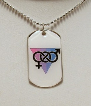 NEW- Exclusive Bi Pride Dog Tag